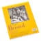 12 Pack: Strathmore® 300 Series Bristol Vellum Pad